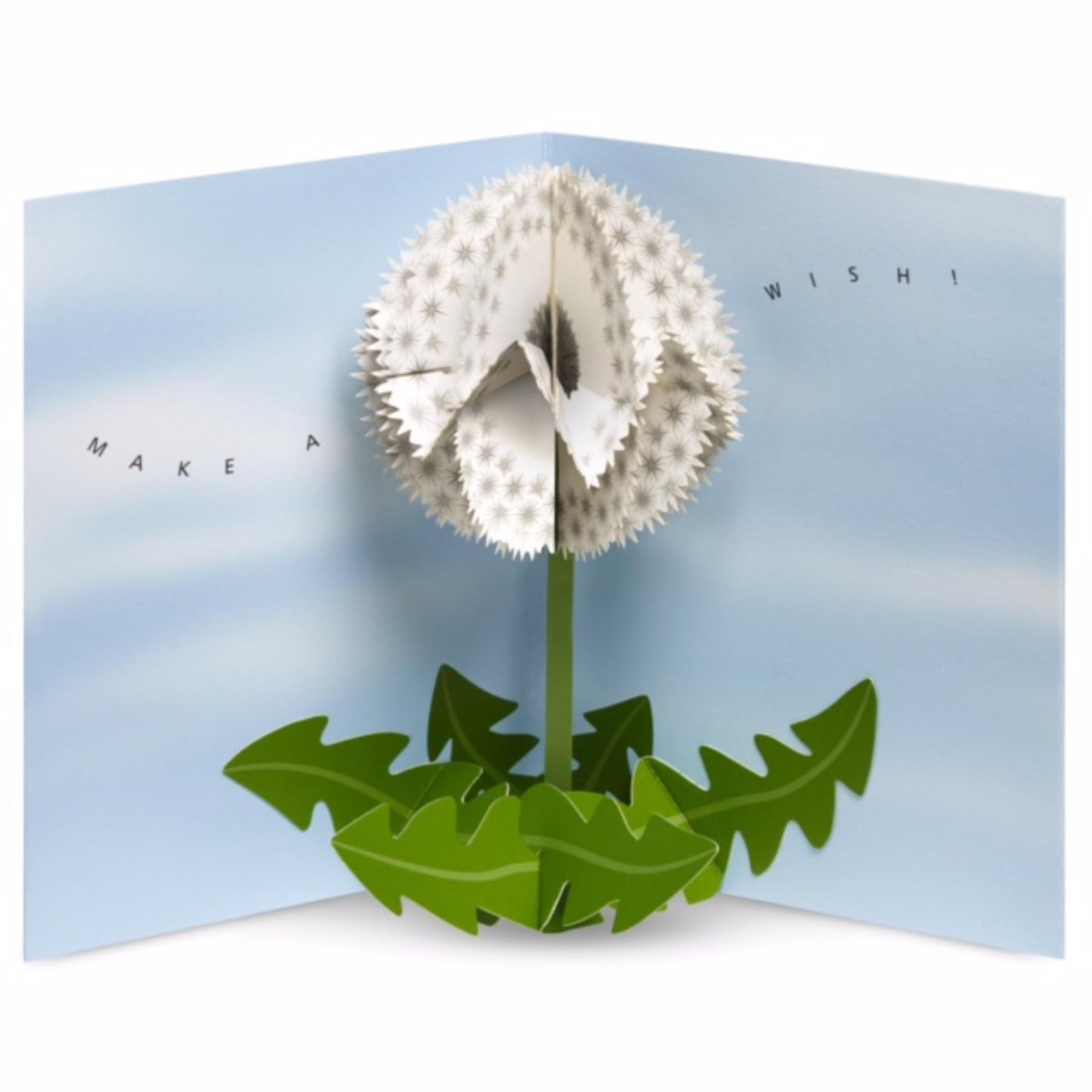 Geöffnete 3D Pop-up Grusskarte „Dandelion Wishes“ mit Pusteblumen-Motiv, blau und weiss