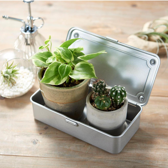 Silberfarbene Toyo Metallbox als Dekoration mit Blumen