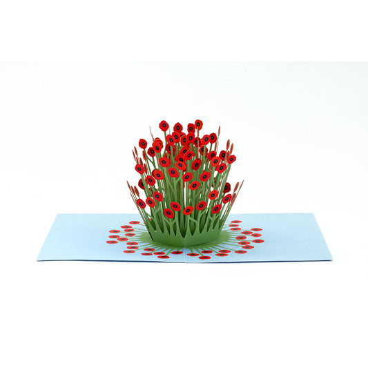 3D Pop-up Grusskarte „Blooming Poppies“ mit rotem Mohnblumen-Motiv
