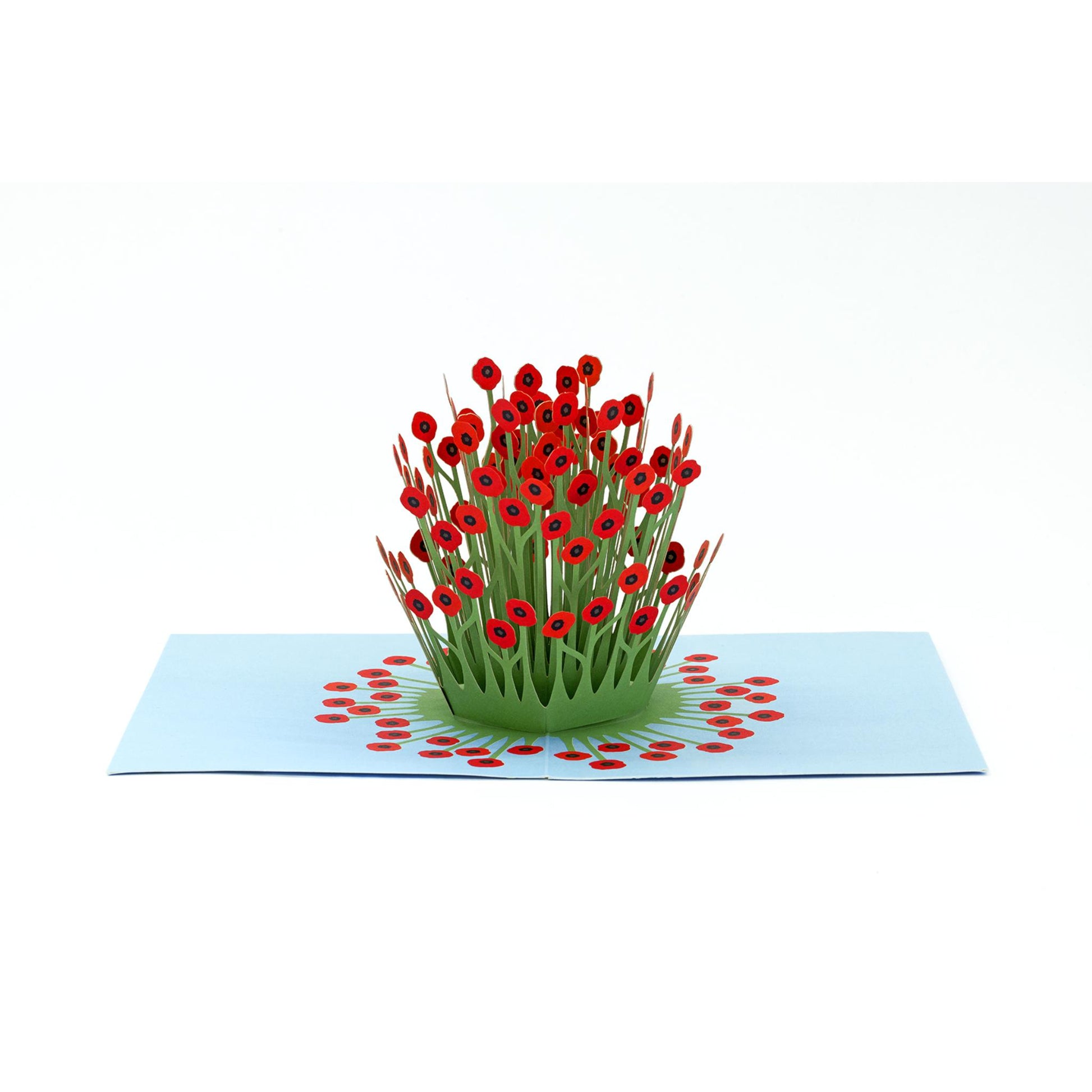 3D Pop-up Grusskarte „Blooming Poppies“ mit rotem Mohnblumen-Motiv 