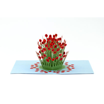 3D Pop-up Grusskarte „Blooming Poppies“ mit rotem Mohnblumen-Motiv 